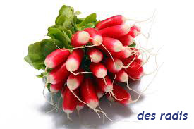 Radishes
