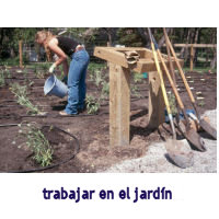Garden.jpg