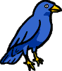 bird