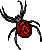 spider