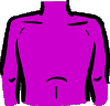 chest.gif