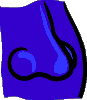 nose.gif