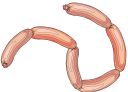 sausage