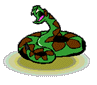 snake