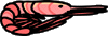 shrimp