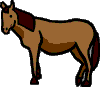 horse